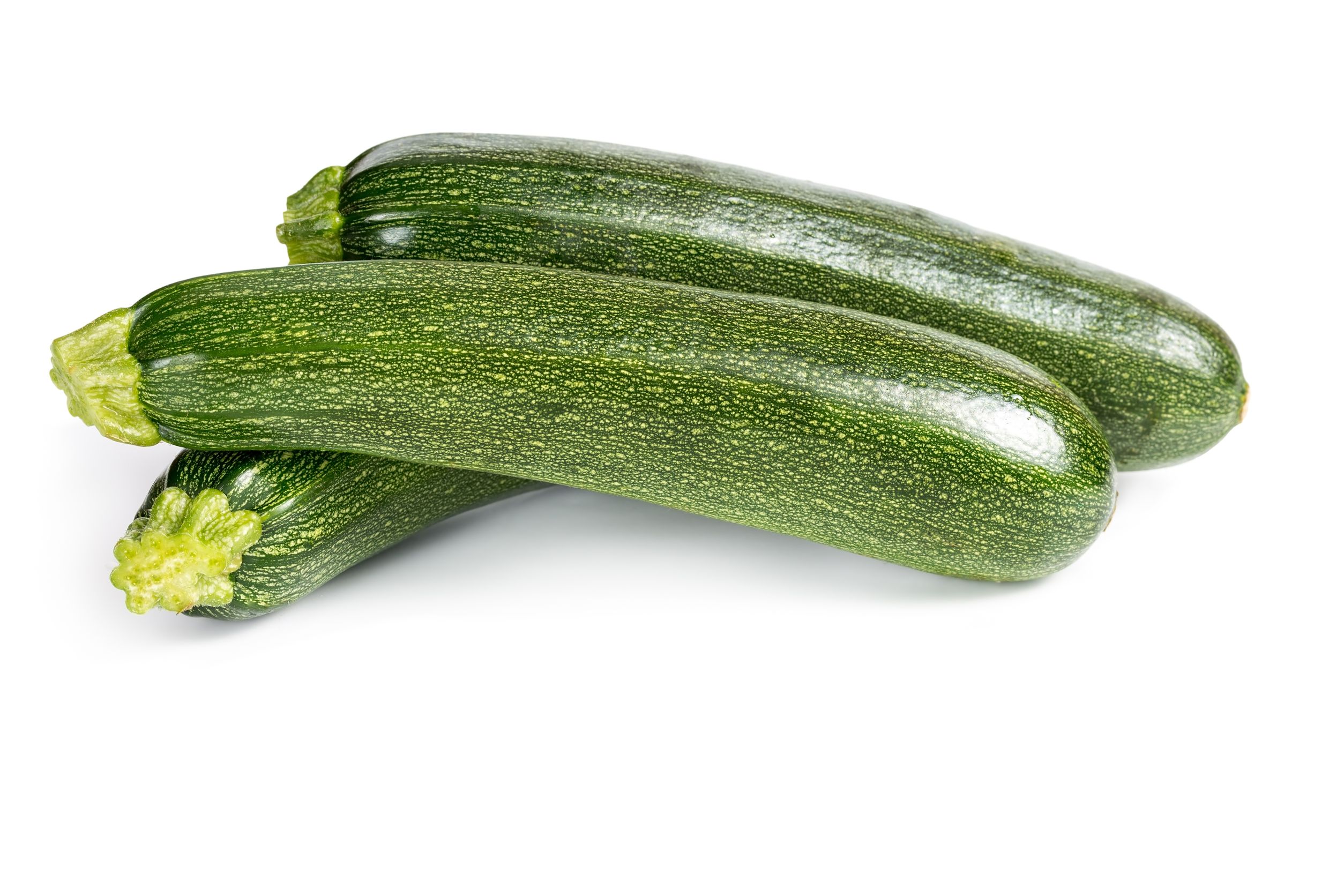 Calabacin Fino