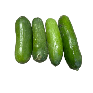 Mejor pepino del mercado